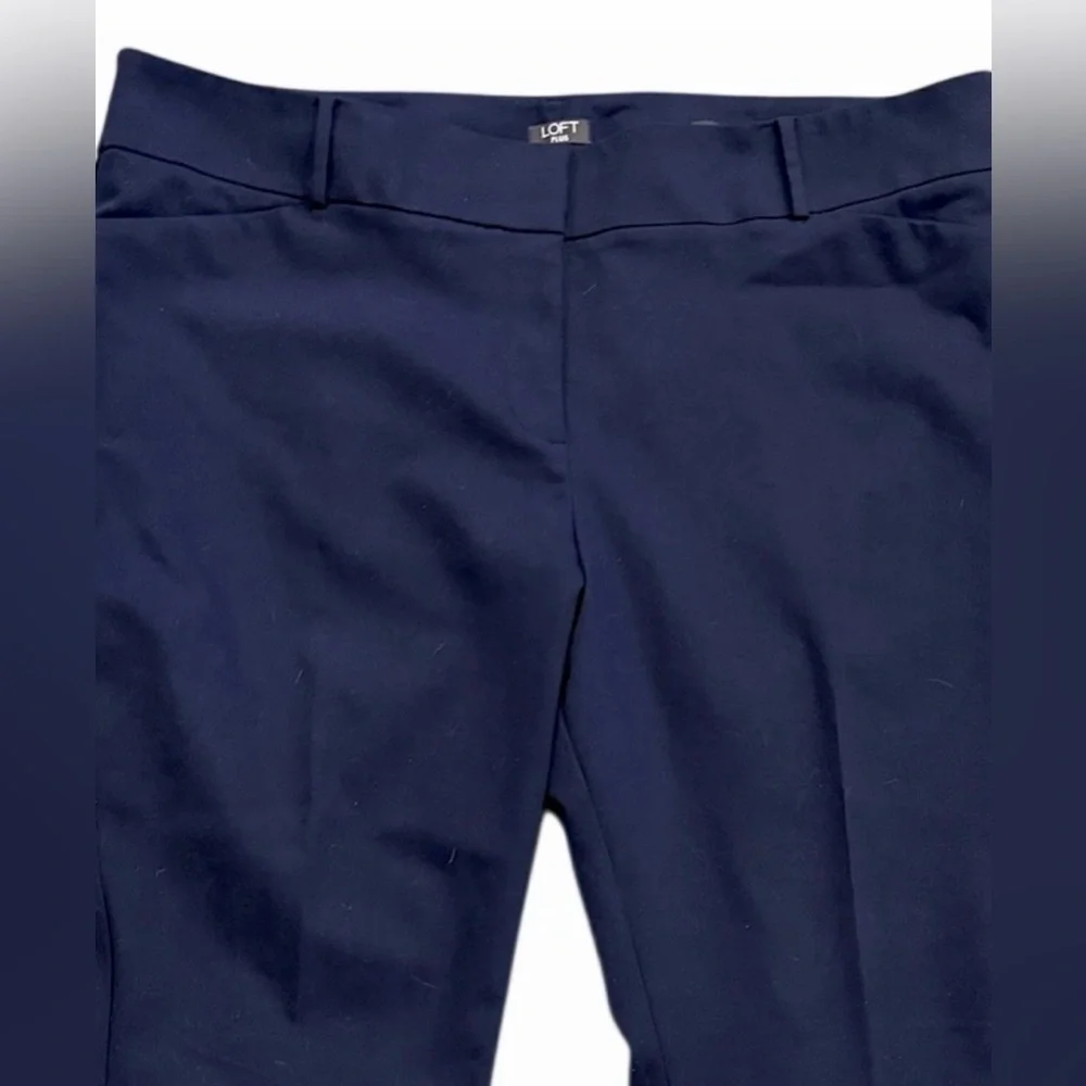 LOFT Womens Plus Size 22 Marisa Skinny Flat Front Button Zip Navy Pocket Pants - Picture 2 of 8
